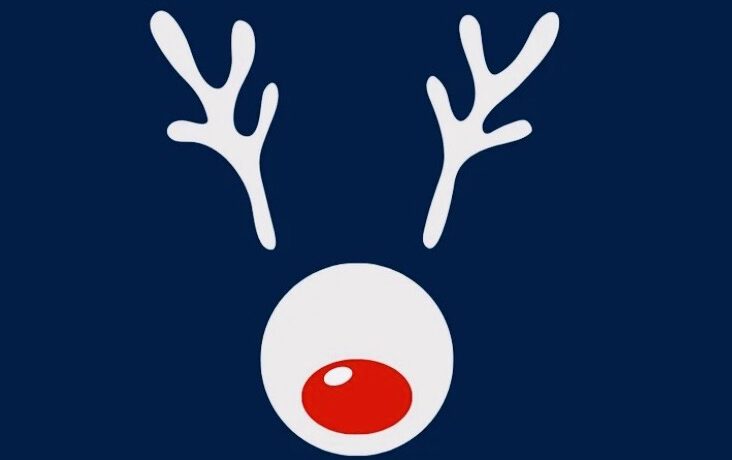 Wir machen eine kleine Weihnachtspause….